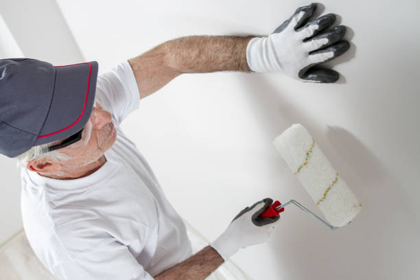 Best Mold Odor Removal Services  in Indian Shores, FL
